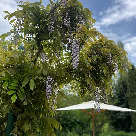 Le Noci Monte Castelli