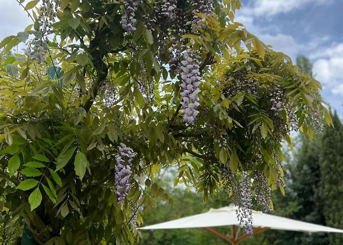 Le Noci Monte Castelli